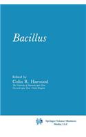 Bacillus