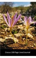 Crocus: Blank 100 page journal