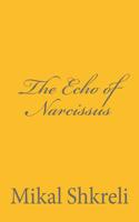 The Echo of Narcissus