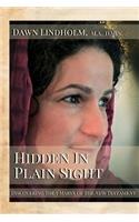 Hidden in Plain Sight