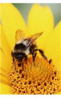 Yellow Daisy Bee Journal