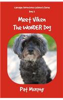 Meet Viken-The Wonder Dog