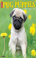 Just Pug Puppies 2021 Wall Calendar (Dog Breed Calendar)