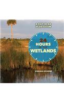 24 Hours in the Wetlands