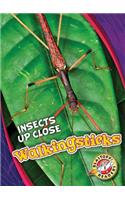Walkingsticks