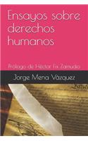 Ensayos sobre derechos humanos