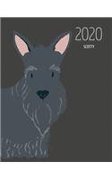 2020 Scotty