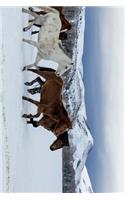 Horses Walking Through Winter Snow Journal