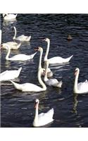Swan Notebook Large Size 8.5 x 11 Ruled 150 Pages Softcover For Home School Offi
