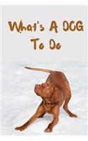 Whats a Dog to do: Dog Lovers Blank Lined Journal/Dairy/Log Book or Notebook to record all your favorite things in here with a gorgeous Dog lovers cover that will brin