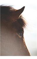 2019 Appointment Calendar: 2019 Daily Planner Goal Planner Horse