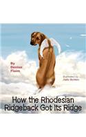 How The Rhodesian Ridgeback Got Its Ridge