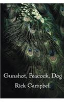 Gunshot, Peacock, Dog