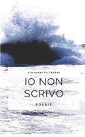 Io non scrivo: poesie