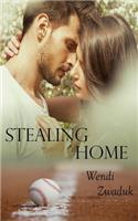 Stealing Home A Complicated Story: A New Adult Erotic Romance