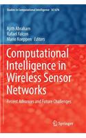 Computational Intelligence in Wireless Sensor Networks