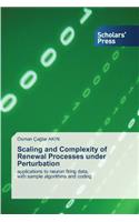 Scaling And Complexity Of Renewal Processes Under Perturbation