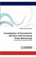 Investigation of Ferroelectric Domains with Scanning Probe Microscopy