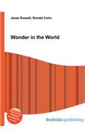 Wonder in the World