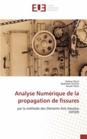 Analyse Numérique de la propagation de fissures