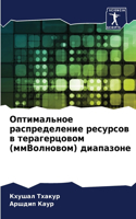 Оптимальное распределение ресурсов в тер