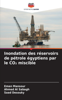 Inondation des réservoirs de pétrole égyptiens par le CO₂ miscible