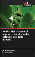 Analisi del sistema di supporto tecnico nella coltivazione delle banane