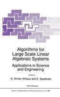 Algorithms for Large Scale Linear Algebraic Systems: