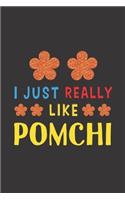 I Just Really Like Pomchi