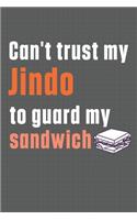 Can't trust my Jindo to guard my sandwich: For Jindo Dog Breed Fans