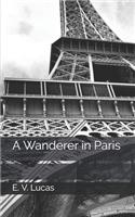 A Wanderer in Paris