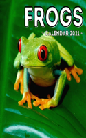 Frogs Calendar 2021