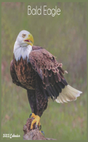 Bald Eagle 2022 Calendar: Official Eagle Birds Calendar 2022, 16 Month Square Calendar