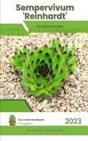 Sempervivum 'Reinhardt'