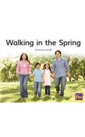 Walking in the Spring