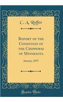 Report of the Condition of the Chippewas of Minnesota: January, 1875 (Classic Reprint)