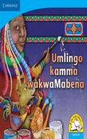 Umlingo kamma wakwaMabena (IsiNdebele): (Little Library Numeracy)