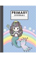 Primary Journal