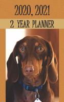 2020 2021 2 Year Planner: Daily Time Organizer for 24 Months, Dachshund Breed Dog Cover