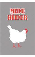 Meine Hühner