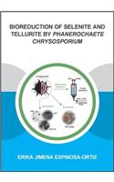 Bioreduction of Selenite and Tellurite by Phanerochaete Chrysosporium