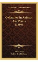 Coloration in Animals and Plants (1886)