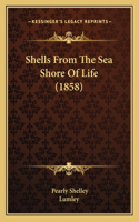 Shells From The Sea Shore Of Life (1858)