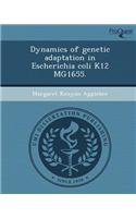 Dynamics of Genetic Adaptation in Escherichia Coli K12 Mg1655