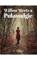 Willow Meets a Pukwudgie
