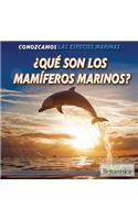 ¿Qué Son Los Mamíferos Marinos? (What Are Sea Mammals?)