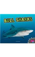 Bull Sharks