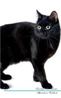 Birman Cat Affirmations Workbook Birman Cat Presents: Positive and Loving Affirmations Workbook. Includes: Mentoring Questions, Guidance, Supporting You.