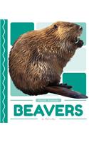 Beavers