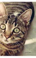Journal Pages - Cats Eye